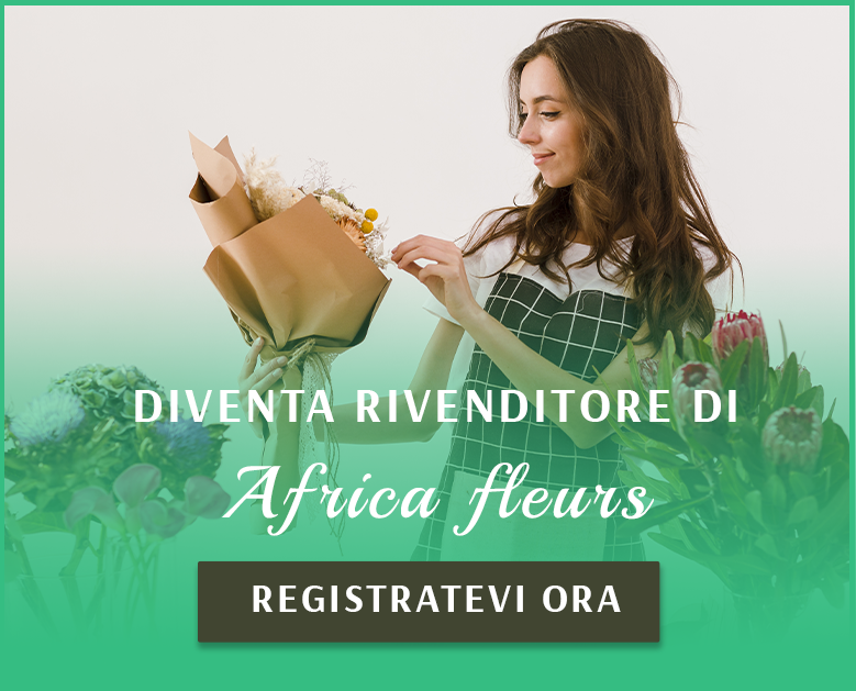 Diventa un rivenditore 